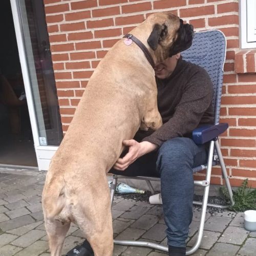 Månedens billede juni 2024