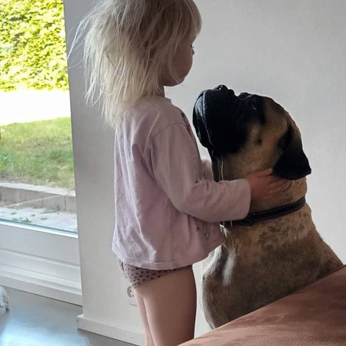 Månedens billede september 2023