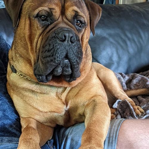 Månedens billede december 2023