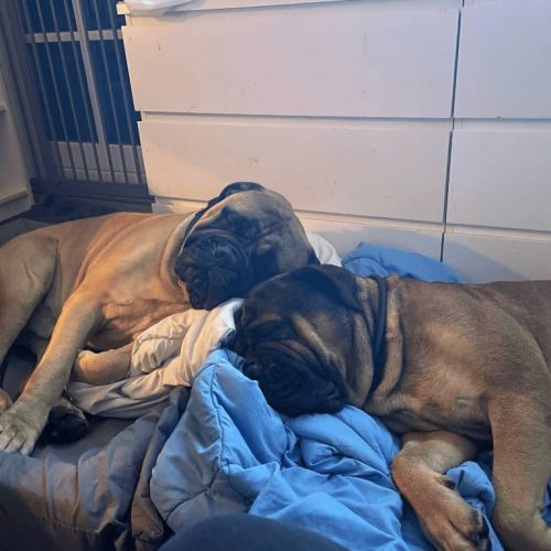 Månedens billede oktober 2023