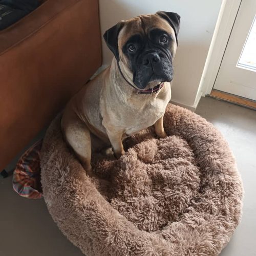 Månedens billede november 2023