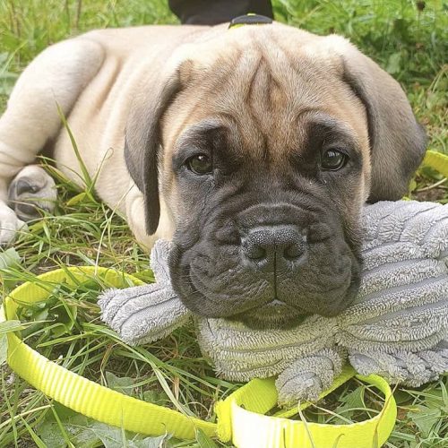 9F14C067-F4AE-4155-A67F-9AF1E4D33099_1_201_a