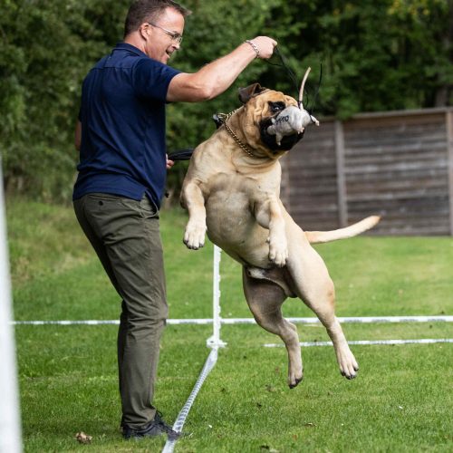 Månedens billede marts 2026