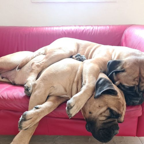 Månedens billede april 2024