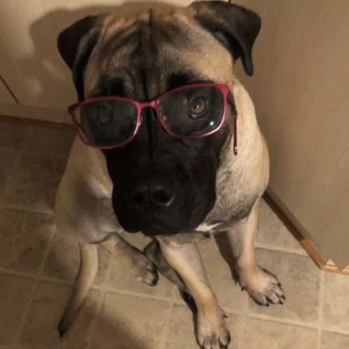 Månedens Billede januar 2024