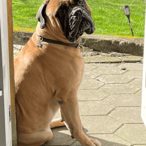 Månedens billede maj 2024